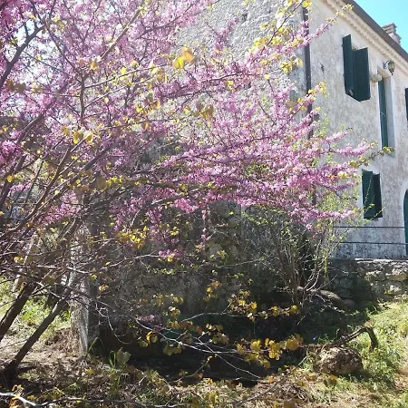 Karya Traditional Holiday home Karia (Lefkada)